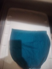 Ashley Stewart 18-20 Teal Underwear