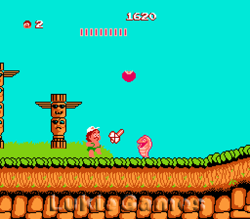 Imagen 6 de 8