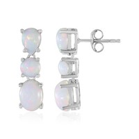 Cavill Welo Opal Ohrringe 3,35Ct 925 Sterlingsilber Platin Tropfen