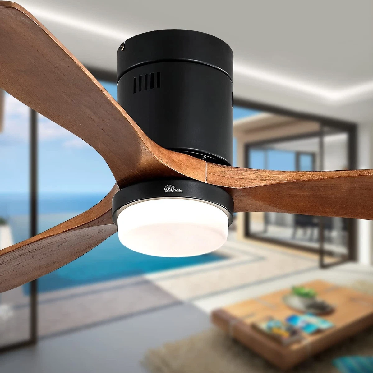 Dimmable Ceiling Fan Shelly Lighting