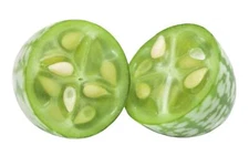 Cucamelon 20 Seeds - Mouse Melon, Melothria Scabra Mini Cucumber, Mexican Sour G