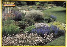 Kodacolor 1000 Piece Rose Art Jigsaw Puzzle Summer Garden  21001