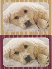 Pair of Labrador Puppy, Swap Cards