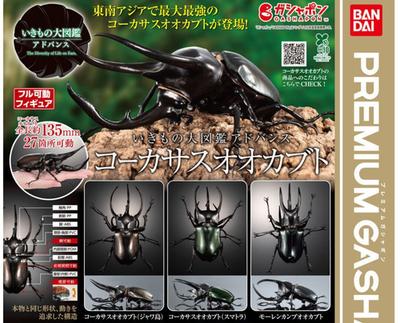 The Diversity of Life on Earth Advance Caucasus Beetle Figure