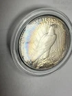 1923 Peace Silver Dollar $1 San Francisco Monster Rainbow and Blue Toner