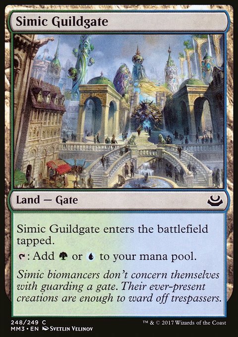 Magic the Gathering MTG Simic Guildgate (248) Modern Masters 2017   NM