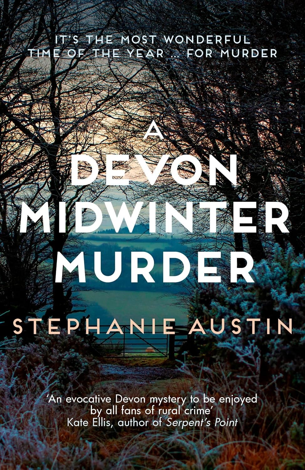 Stephanie Austin A Devon Midwinter Murder Book NEW Paperback Cosy Crime Mystery