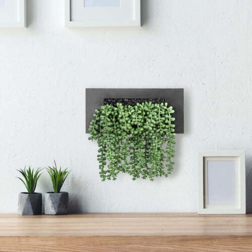 Artificial String of Pearls Tabletop/Hanging Plant Arrangement in Black Planter - Afbeelding 1 van 6