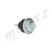 Mertz Lagerung, Motor M-S4284 FüR CitroËN Peugeot