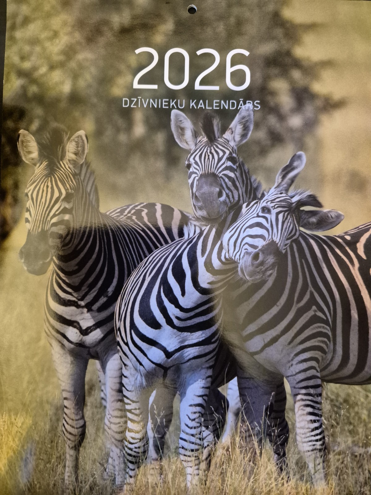 Latvian Wall Calendar 2026. A4. Latvijas kalendars Dzīvnieki 2026. UK Seller