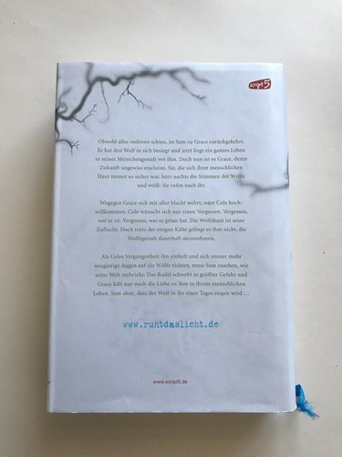 Nach Dem Sommer Ruht Das Licht In Deinen Augen Verfilmung Nach dem Sommer Band 2: Ruht das Licht (Maggie Stiefvater, gebunden