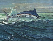 William Goadby Lawrence  Striped Marlin - Sport Fishing Print 17x22 REPRODUCTION