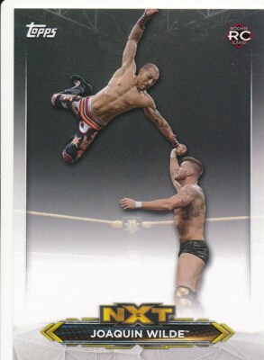 NXT-23 JOAQUIN WILDE 2020 Topps WWE NXT ROSTER CARD RC