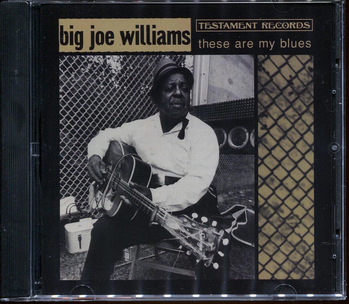 CD Big Joe Williams - Это мой Блюз