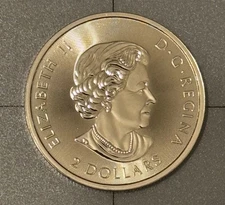 2019 Canada 1/2 oz 9999 Silver Polar Bear BU Brilliant Uncirculated