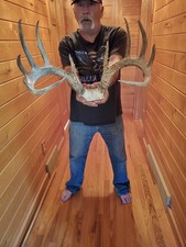 Whitetail Deer Antler Mount with Palmated Drop Tine Rack