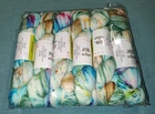 RARE Lot of 6 Skein Bad Sheep Yarn Beach Towel Limited Edition Merino Nylon
