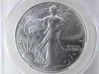 NobleSpirit 2024 American Silver Eagle First Delivery Nugget Sig CAC MS70