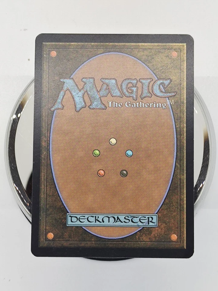 MTG French Kessig Wolf Run Innistrad LP Garenne Au Loup De Kessig - Image 2 of 2