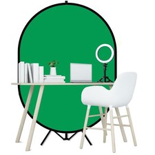 LENCARTA Green Screen with Stand Kit with 10" Selfie Desk LED Ring Light Stream