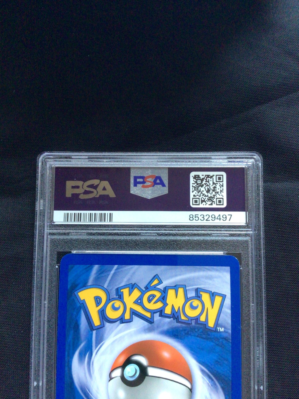 Picture 6 of 6
