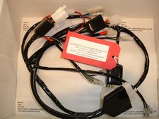 Honda MT250 (Elsinore Replica wiring harness)