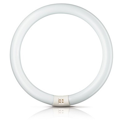 Philips Master Leuchtstofflampe TL-E 22W 865 Circular Super 80 G10q Ring Röhre