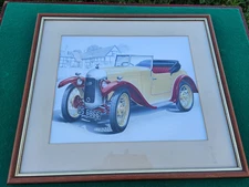 austin swallow picture framed