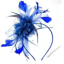 Women's Fascinators Feathers Mesh Ribbons Kentucky Derby Hat Tea Party Blue