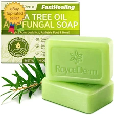 Antifungal Antibacterial Tea Tree Soap: Antifungal Antibacterial Treatment for F