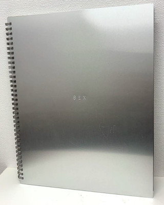 ''SEX BY MADONNA'' NUR FOTOBUCH KEINE CD japanische Version 1992 Versand b243