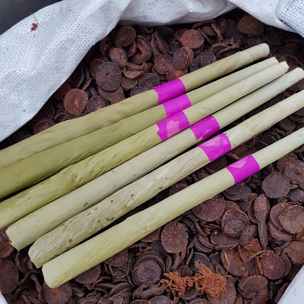does tobacco have healing properties Tobacco