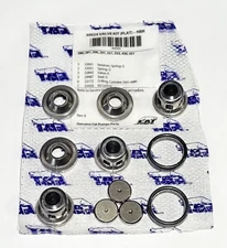  Cat Pumps 30024 FLAT VALVES KIT OEM  280,281,290,291,300,333,410,420,430 PUMPS