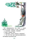 Bild 11 von 13