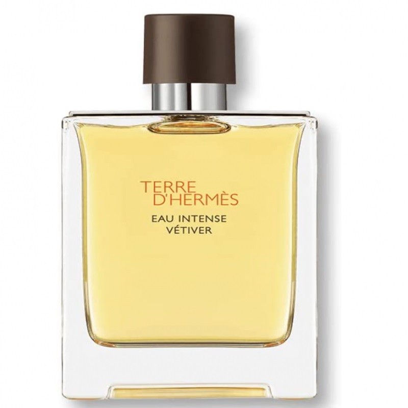 Hermes Mens Terre DHermes Eau Intense Vetiver EDP 017 oz Fragrances 6690₽