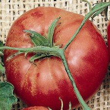 Tomato Trip-L-Crop  250 seeds