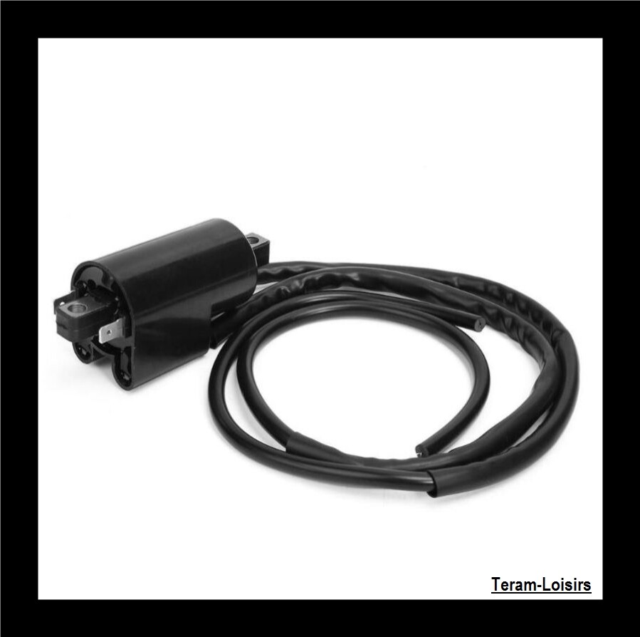 Hi Performance Ignition Coil For Suzuki GSF 600 SK3 Bandit