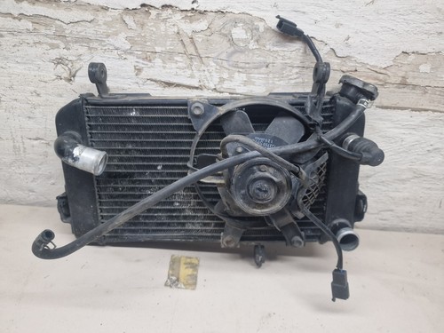 Suzuki SV 650 AV Kühler mit Lüfter W 2163