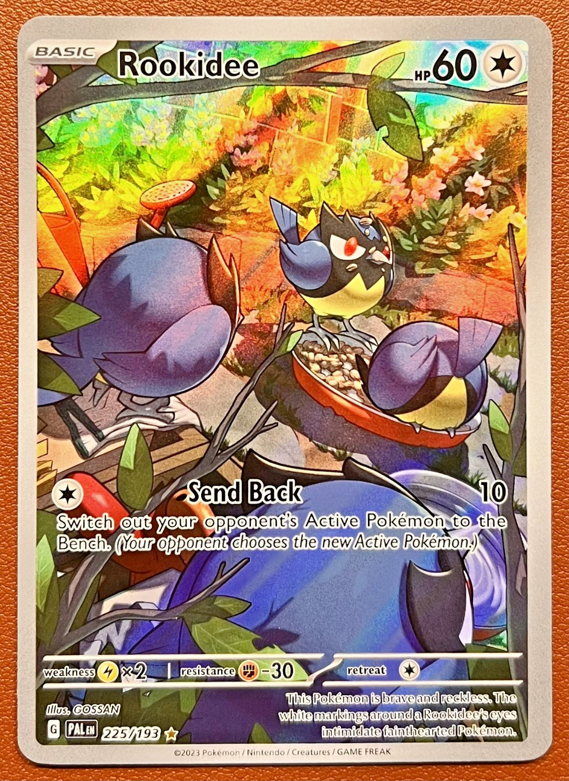Pokemon Rookidee 225/193 Sv02: Paldea Evolved Illustration Rare Holo
