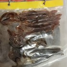 Berkley & Chompers Mixed Lot Soft Plastic Freshwater Baits/Worms & Grubs — photo 9