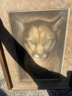 Wild Cougar Painting Original Art Signed by Artist — photo 1