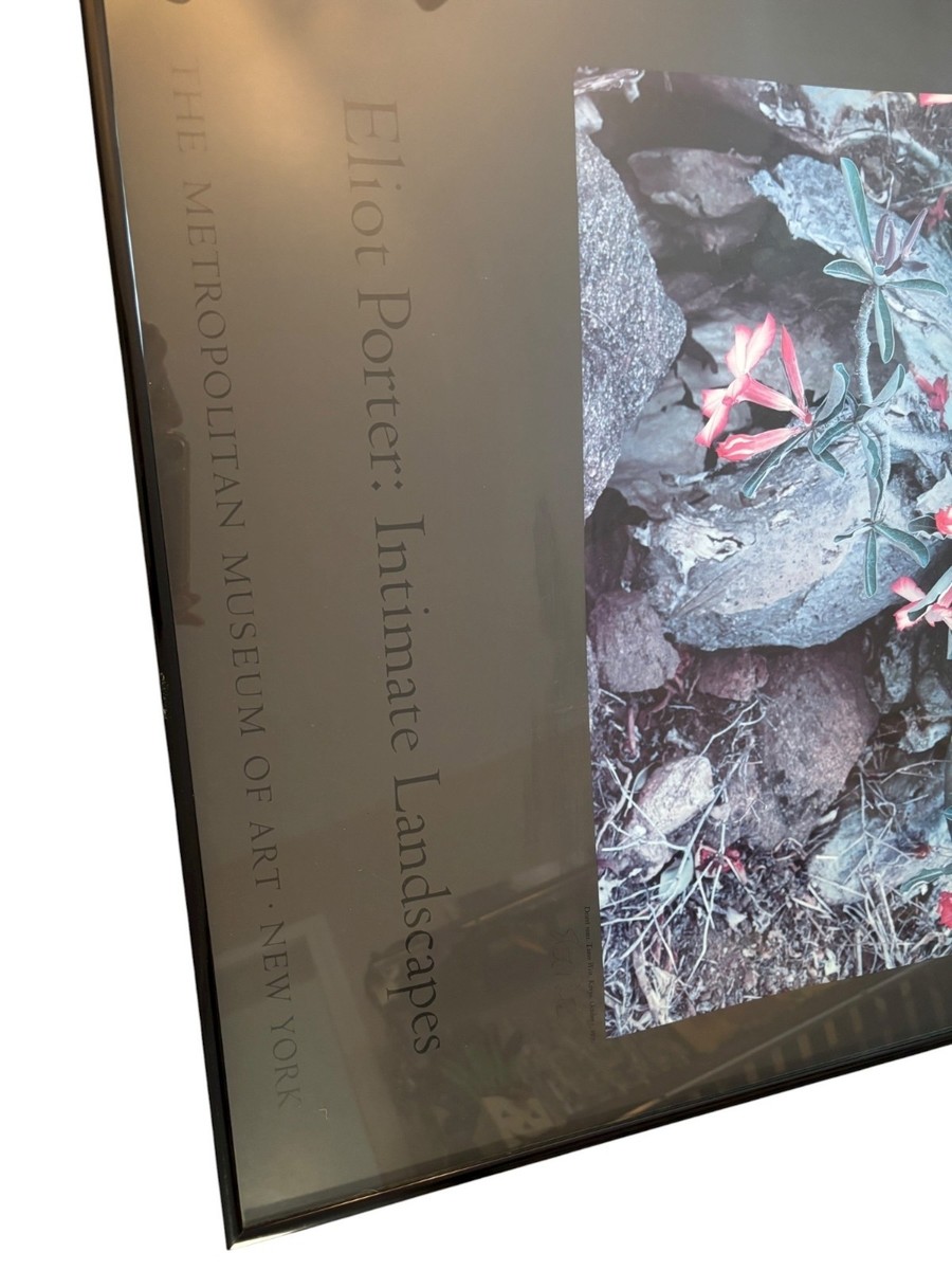 Signed Eliot Porter: Intimate Landscapes Print Metropolitan Museum