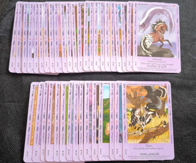 * Bella Sara * Native Lights / Traumfänger * 38 Karten * ENG *