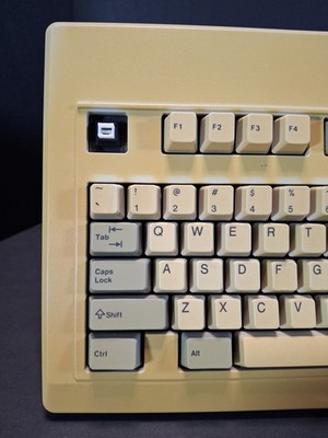 Vintage Philips AT Keyboard AQ6MEMB-74004 5-Pin Din Missing ESC