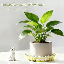 RETON Juego De 38 Macetas De Plástico Coloridas, Incluye 16 Macetas De Interior De 10/14 Cm Con Bandeja, Macetas De Plástico Con 18 Etiquetas Para Plantas, 4 Herramientas De Trasplante (8 Colores