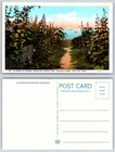 Provincetown Cape Cod Massachusetts Harbor From Hollyhock Lane Postcard AQ126
