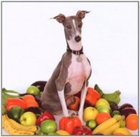 Shellac - Excellent Italian Greyhound Cd 9 Tracks Alternative Rock Neuware