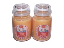 Yankee Candle Slopeside Spritz Large Jar Candle 22 oz each - Lot of 2