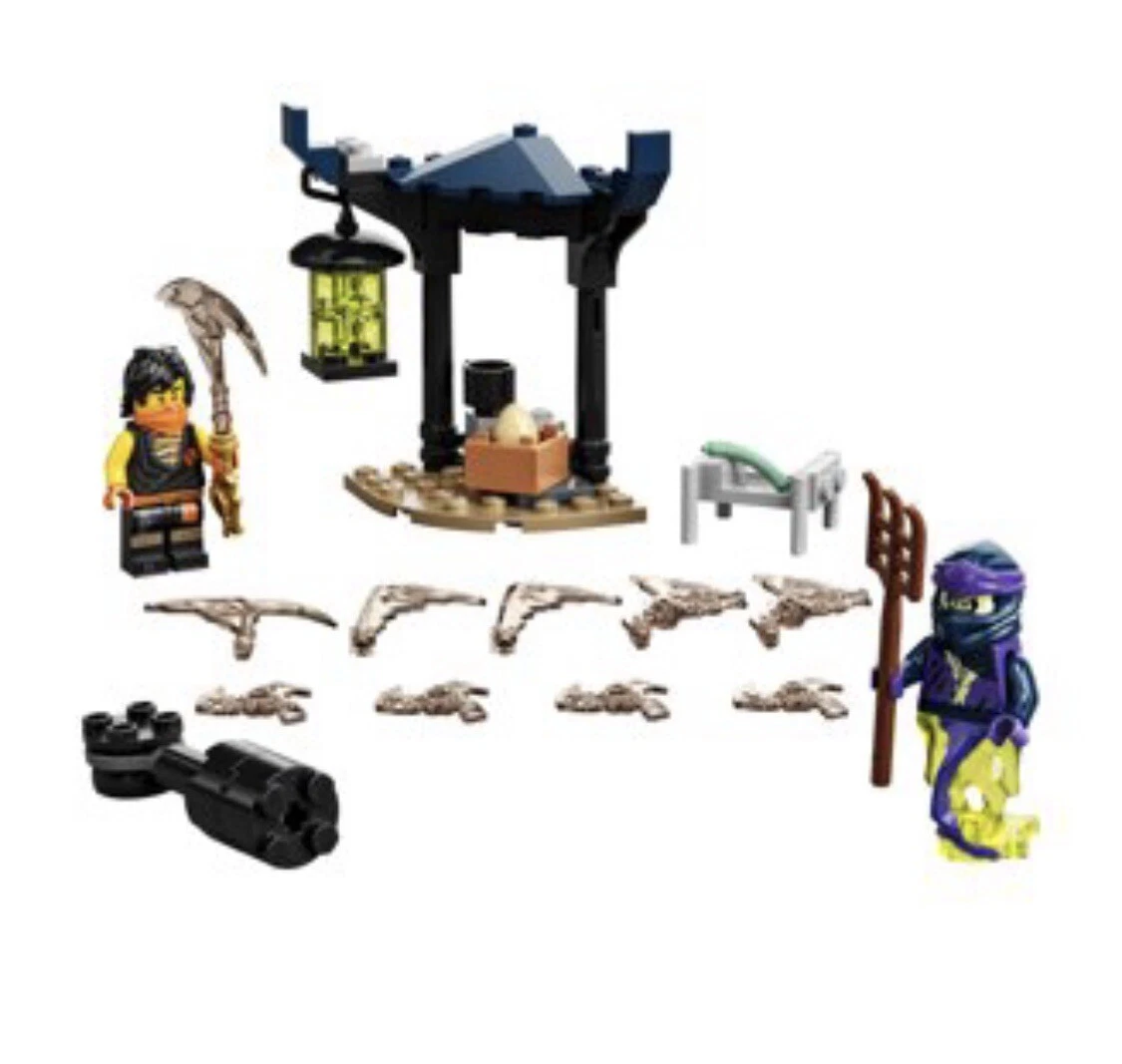 Ninjago epic battle sets hot sale