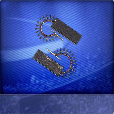 Brands Charcoal Brushes Suitable for Bosch Maxx 4 Wfc 2446, 2465